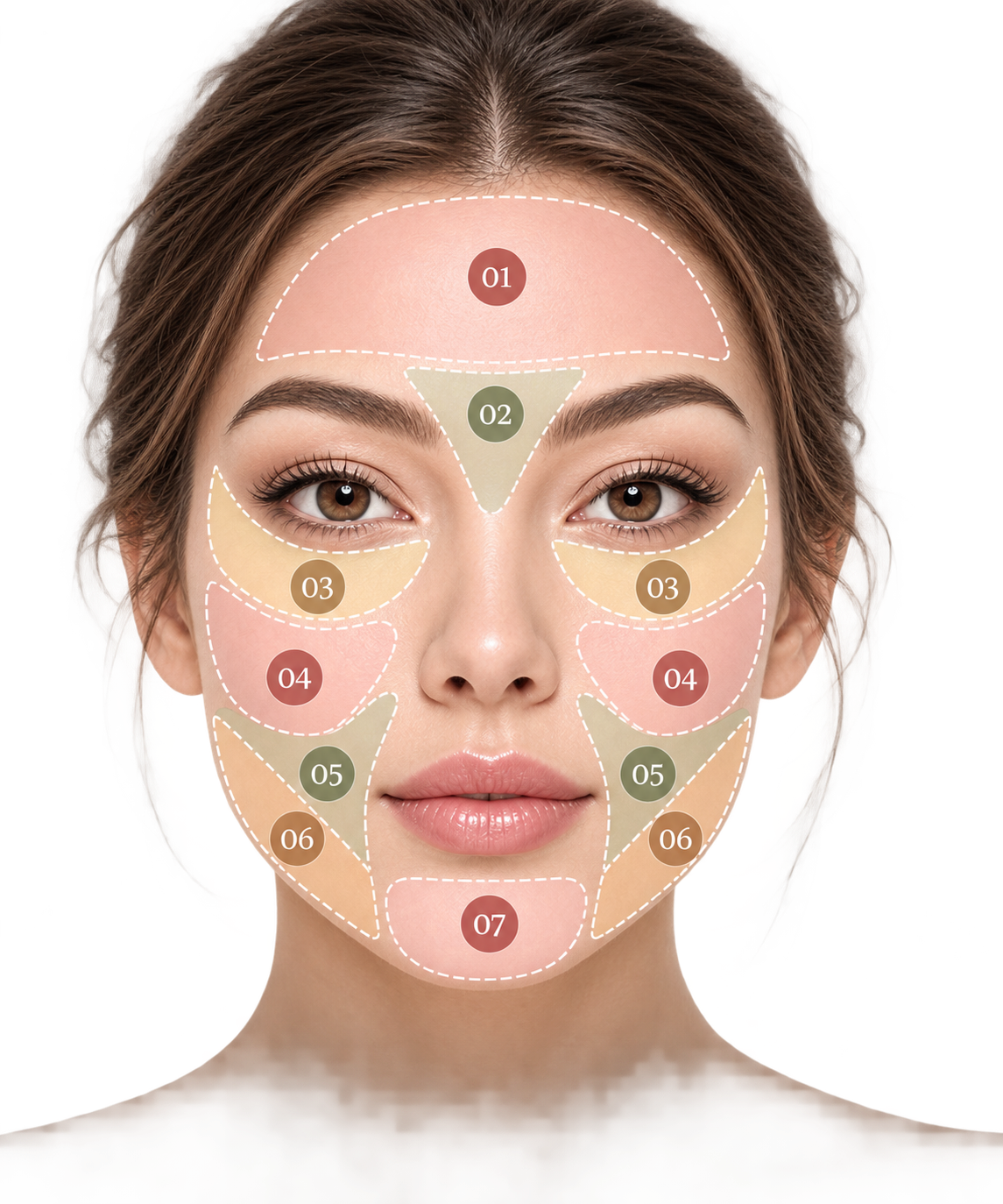 Mapa facial con las 7 zonas numeradas
